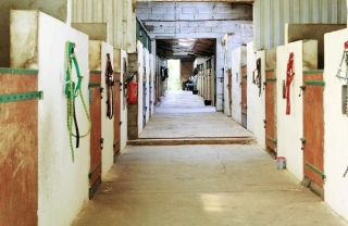  Centro ecuestre en Ille et Vilaine 